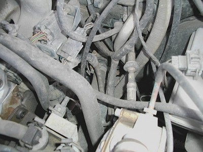tn_DSCI3443.JPG