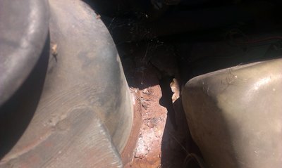IMAG0322.jpg