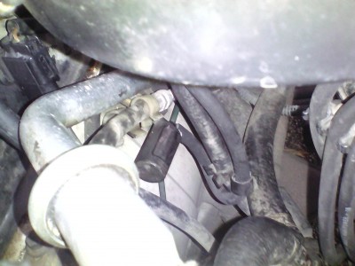 IMG_20171118_121028.jpg (1.35 MБ) Видяна 11090 пъти IMG_20171118_121028.jpg