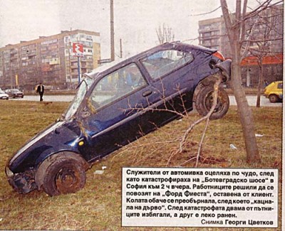 fiestacrash.jpg