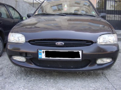 STA403381.JPG