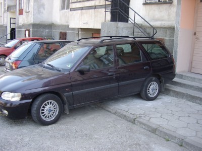 STA40336.JPG