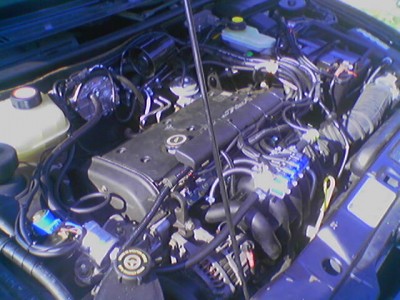 070616_093653.jpg (62.09 KБ) Видяна 4548 пъти 070616_093653.jpg