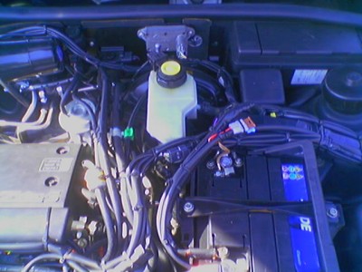 070616_093629.jpg (53.46 KБ) Видяна 4523 пъти 070616_093629.jpg