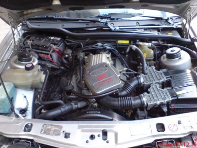 t_dsc00061_192[1].jpg
