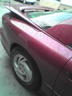 Picture 0166.jpg