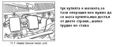 mot.JPG