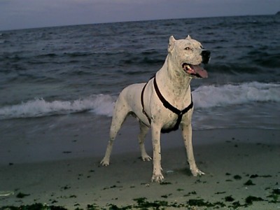 index.php.jpg (73.83 KБ) Видяна 5789 пъти index.php.jpg