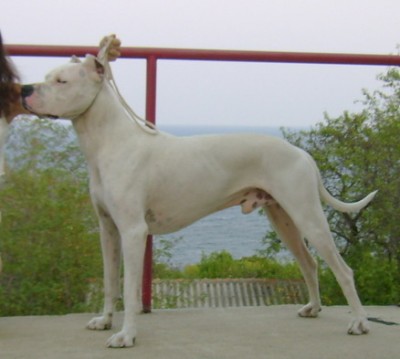 index.php.jpg (60.76 KБ) Видяна 5790 пъти index.php.jpg