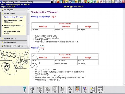 fig 6.jpg