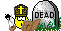 *dead001* *dead001*